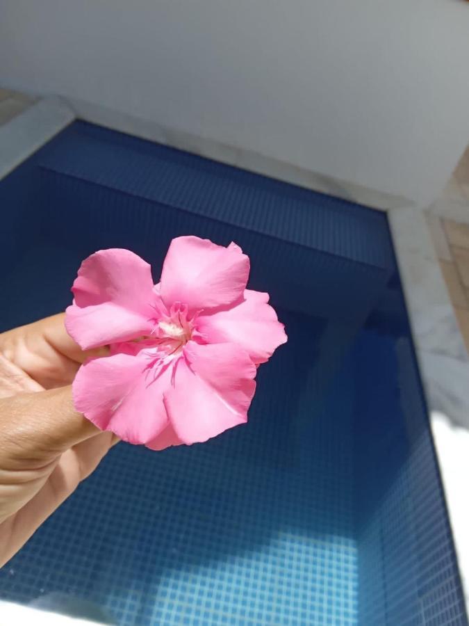 Tamandare Residence Ngoại thất bức ảnh